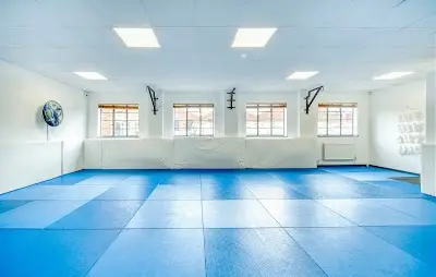 Ray Stevens Academy BJJ Academy - photo 1