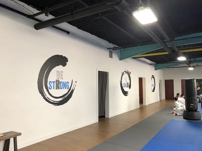 REAL Martial arts BJJ Academy - photo 1