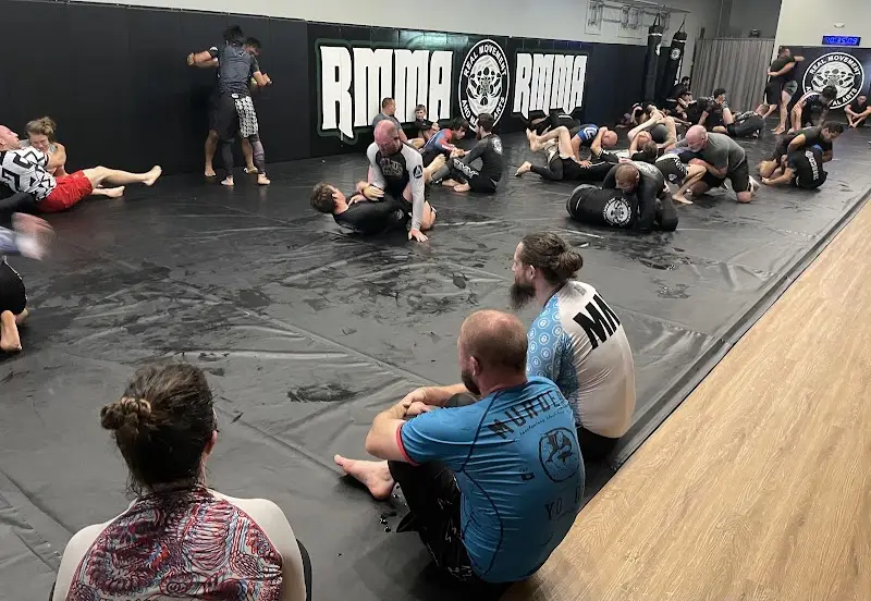 Real Movement and Martial Arts BJJ Academy - photo 1