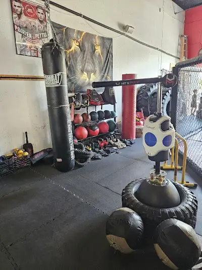 Real World M.M.A. Training Center BJJ Academy - photo 1