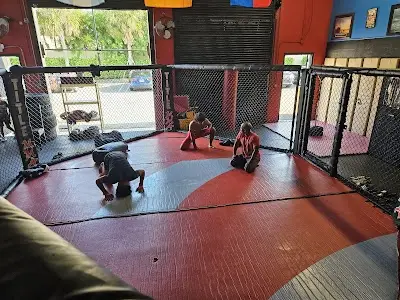 Real World M.M.A. Training Center BJJ Academy - photo 4