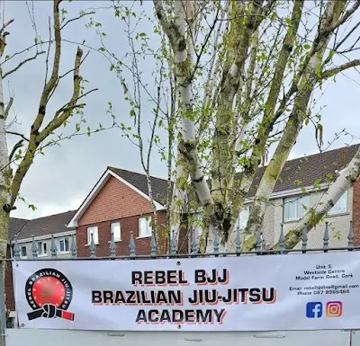 Rebel Bjj BJJ Academy - photo 1