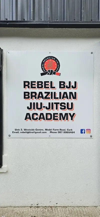 Rebel Bjj BJJ Academy - photo 2