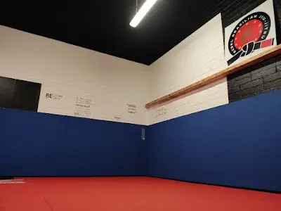 Rebel Bjj BJJ Academy - photo 4