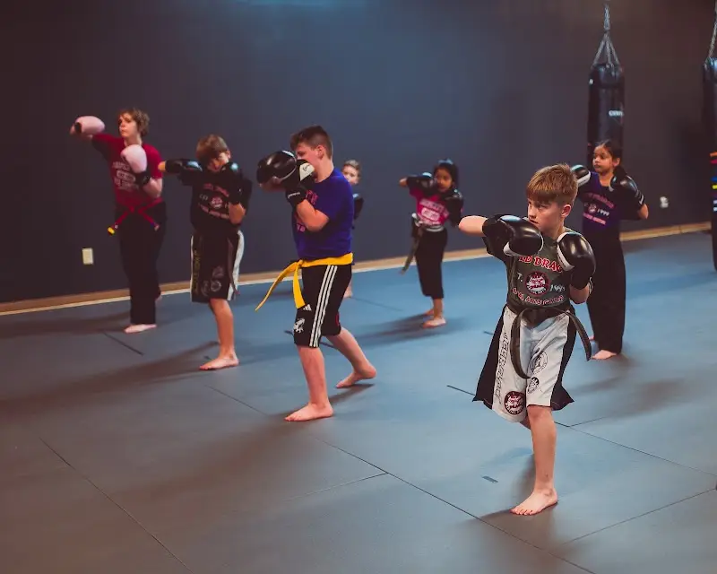 Red Dragon Martial Arts & BJJ Center BJJ Academy - photo 1