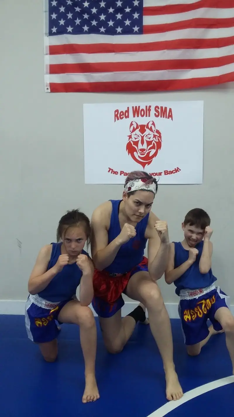 Red Wolf School of Martial Arts BJJ Academy - photo 2
