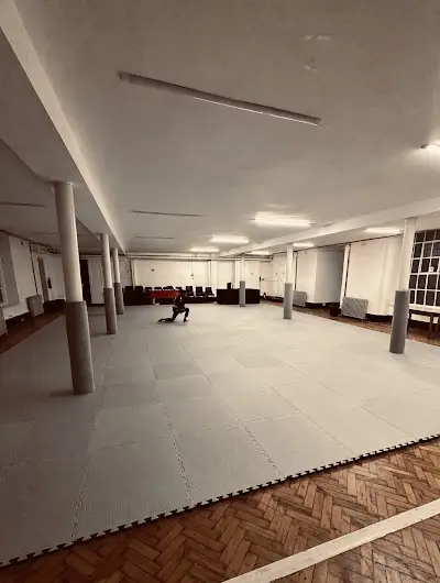 Reis Brazilian Jiujitsu BJJ Academy - photo 1