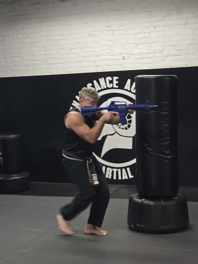 Renaissance Academy of Martial Arts BJJ Academy - photo 1
