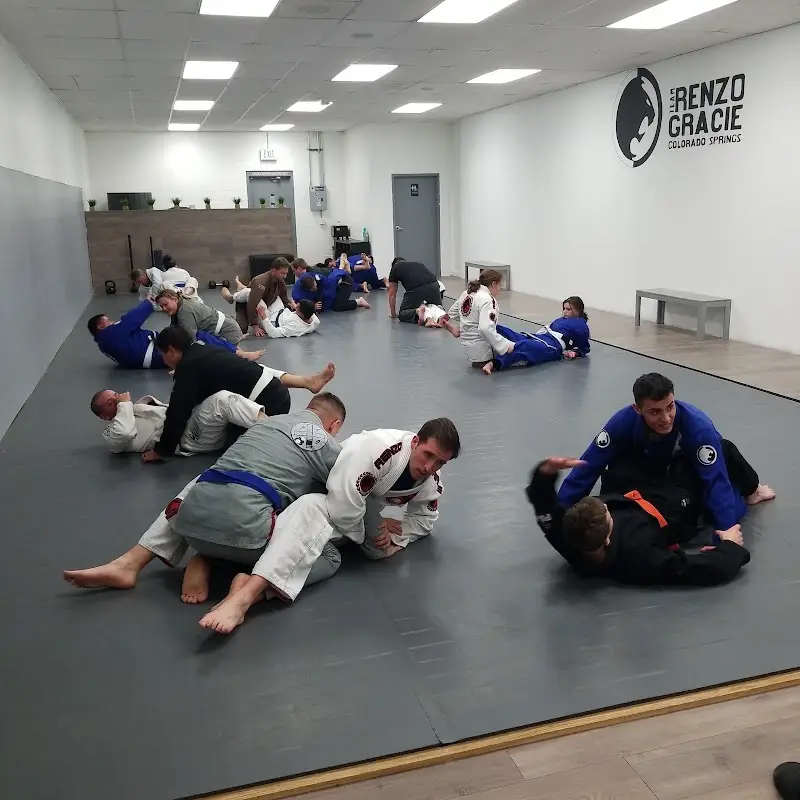 Renzo Gracie Bjj - Brazilian Jiu Jitsu Academy BJJ Academy - photo 2
