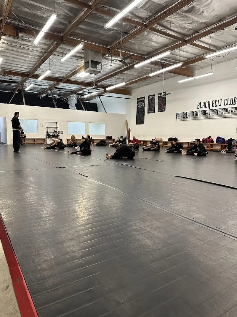 Renzo Gracie Evolution BJJ Academy - photo 2