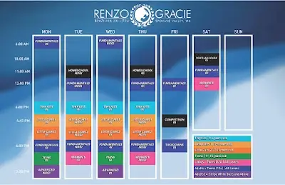 Renzo Gracie Jiu Jitsu Spokane Valley BJJ Academy - photo 1