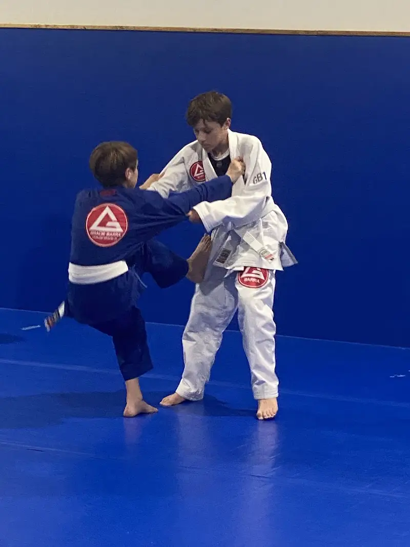 Renzo Gracie Jiujitsu Lakeway BJJ Academy - photo 2