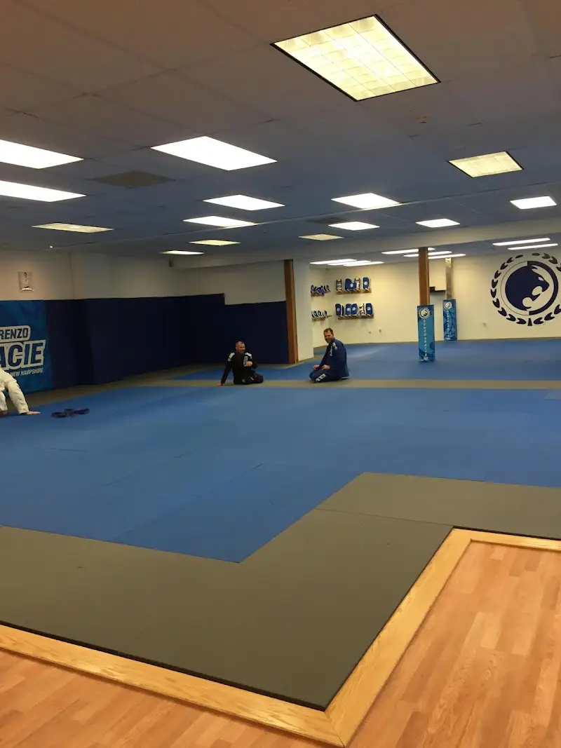 Renzo Gracie NH BJJ Academy - photo 1