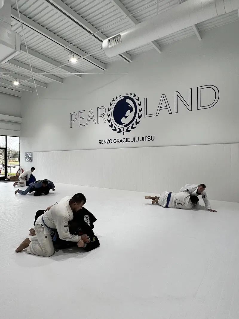 Renzo Gracie Pearland BJJ Academy - photo 2