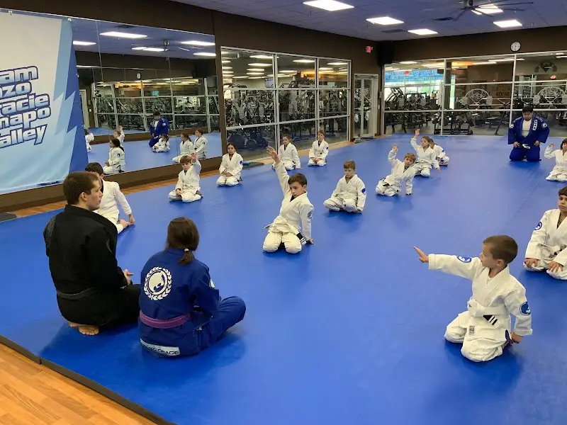 Renzo Gracie Ramapo Valley BJJ Academy - photo 1
