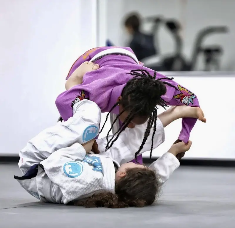 Renzo Gracie Rockland BJJ Academy - photo 1