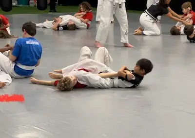 Resilience Martial Arts - Gracie Jiu-Jitsu Lakeville