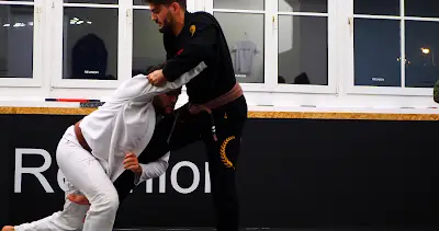 Reunion Jiu Jitsu BJJ Academy - photo 3
