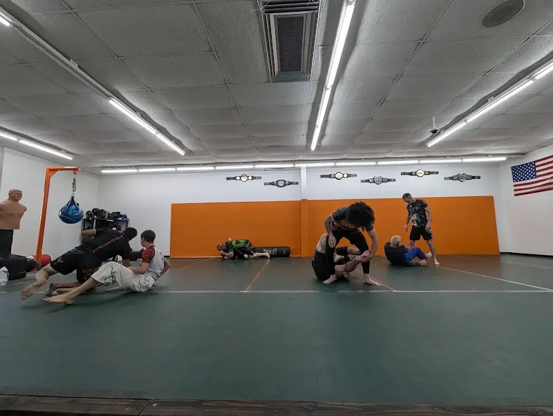 Revival Jiu Jitsu