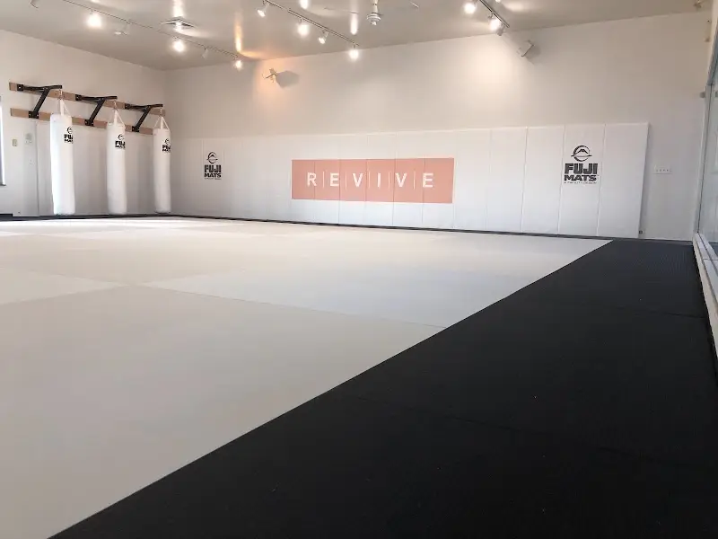 Revive Brazilian Jiu jitsu BJJ Academy - photo 1