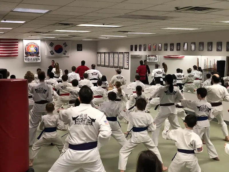Revolution Martial Arts Institute BJJ Academy - photo 1