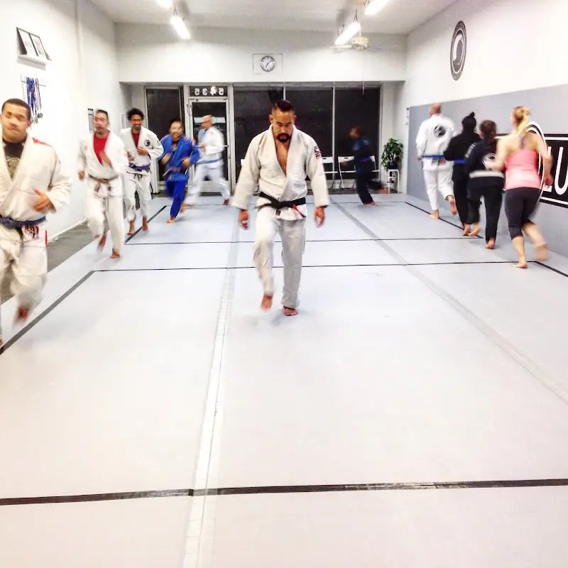 Revolution Martial Arts & Jiu Jitsu BJJ Academy - photo 1