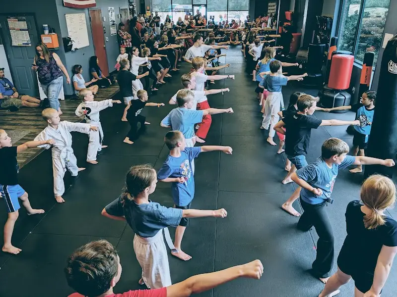 Revolution Modern Martial Arts BJJ Academy - photo 1