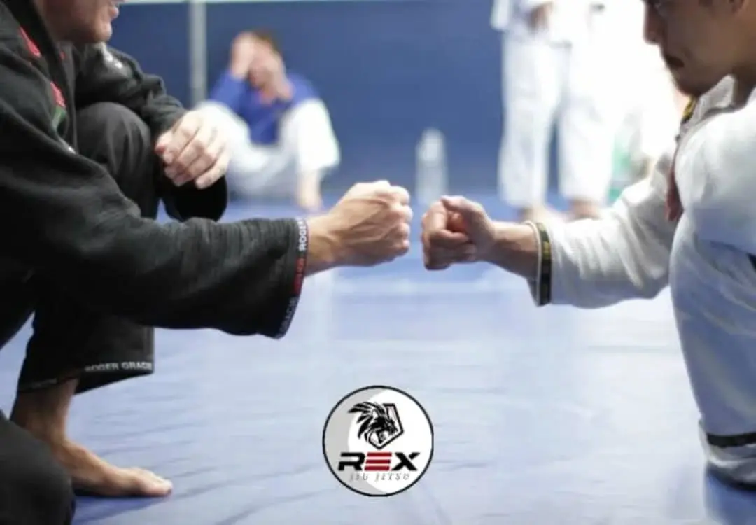 Rex BJJ BJJ Academy - photo 3