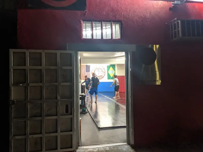 Rey Diogo Brazilian Jiu Jitsu BJJ Academy - photo 2