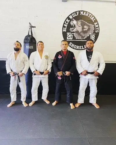 Ricardo Cavalcanti bjj Rhode island BJJ Academy - photo 3