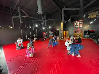 RiceBros Brazilian Jiu Jitsu