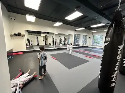 Richmond Hill Jiu-Jitsu Academy BJJ Academy - photo 1