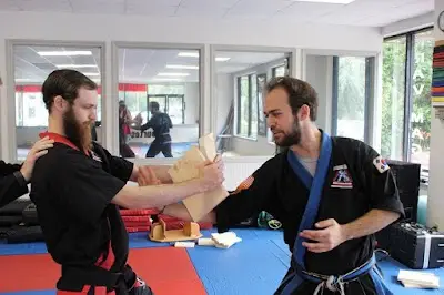 Richmond Hill Karate BJJ Academy - photo 1