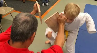 Richmond Hill Karate BJJ Academy - photo 2