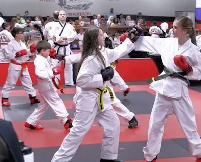 Richmond Hill Martial Arts BJJ Academy - photo 1