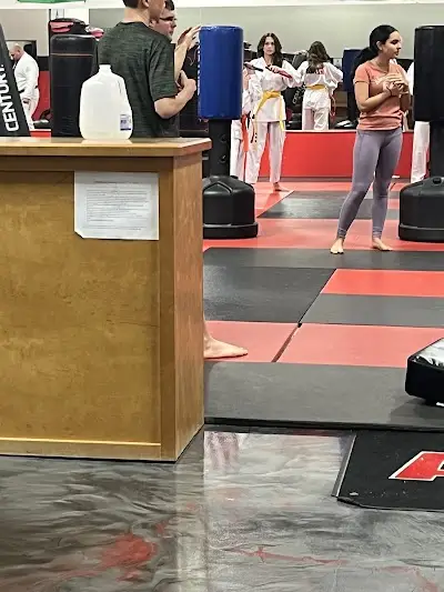 Richmond Hill Martial Arts BJJ Academy - photo 2