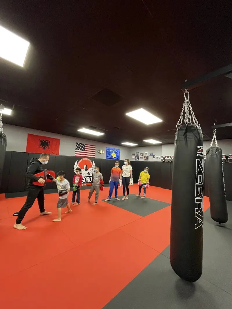 Rigoro Gym BJJ Academy - photo 1