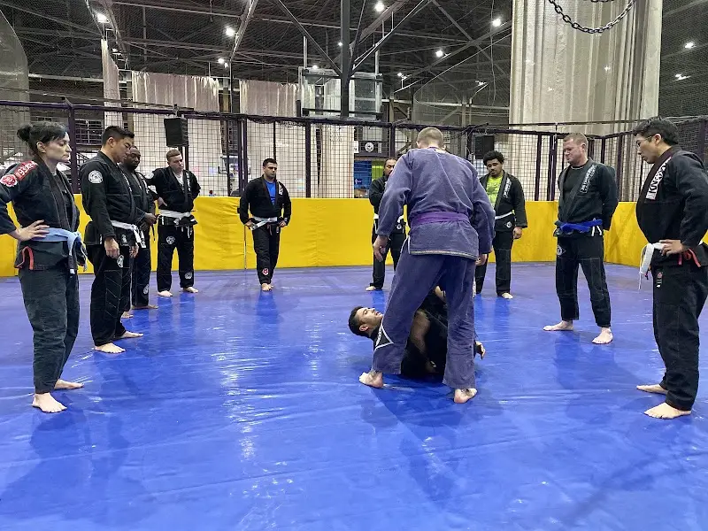 Rio Combat Team BJJ Academy - photo 1