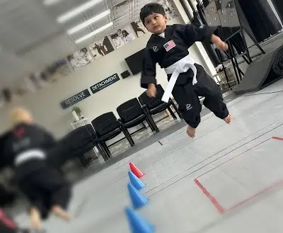 Rise Martial Arts BJJ Academy - photo 1