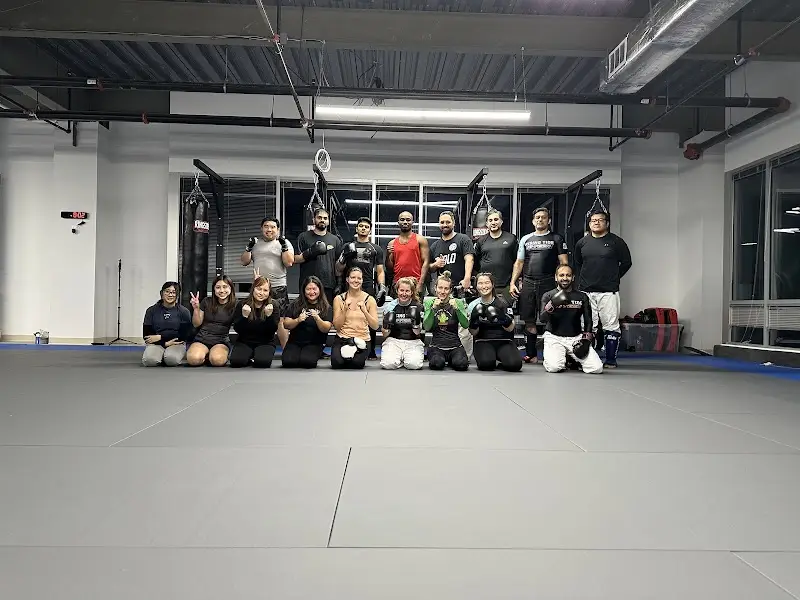 Rising Tide Hi Tech Martial Arts: Gracie Jiu-Jitsu, Muay Thai, MMA BJJ Academy - photo 1