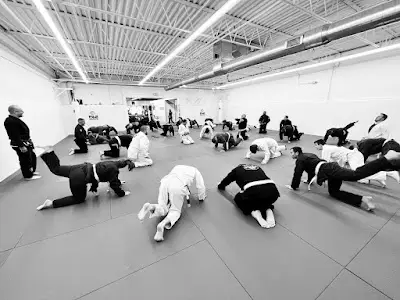 RŌL Academy of Jiu Jitsu BJJ Academy - photo 2