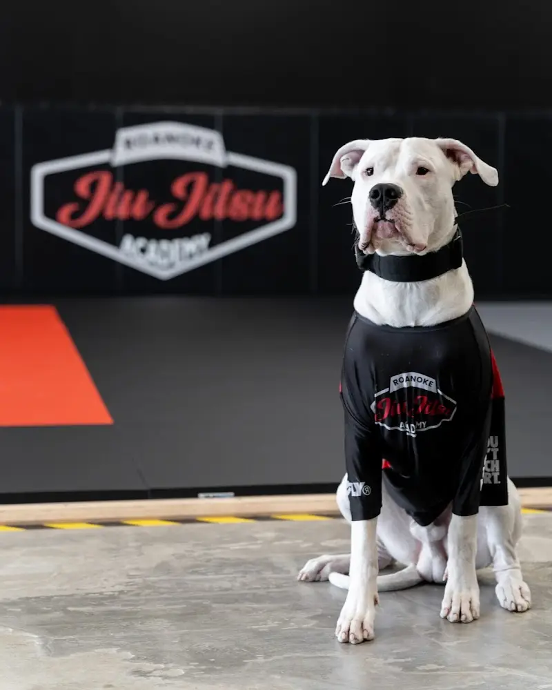 Roanoke Jiujitsu Academy BJJ Academy - photo 2