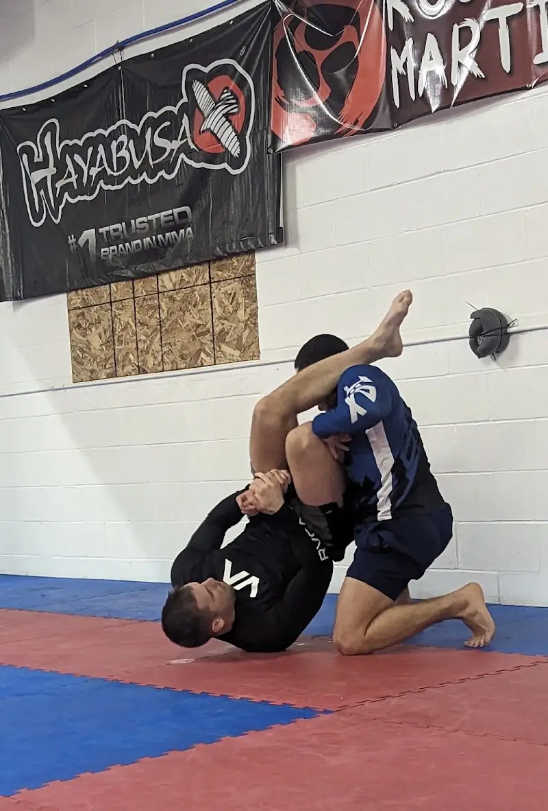 ROC Martial Arts BJJ Academy - photo 1