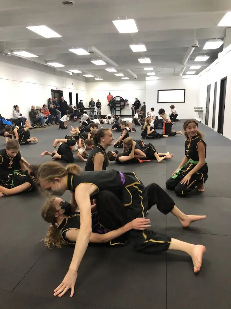 Rochester School of Martial Arts BJJ Academy - photo 1