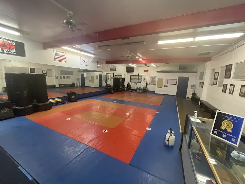 Rodness' Martial Arts Center BJJ Academy - photo 1