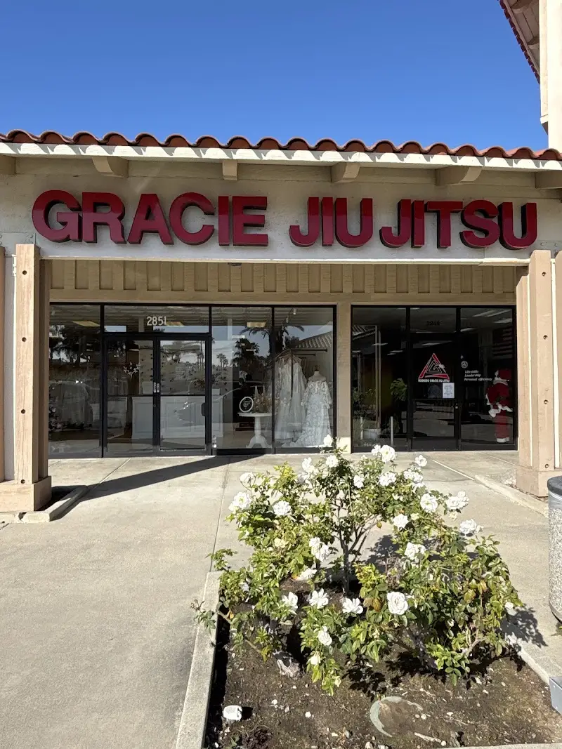 Rodrigo Gracie Jiu-jitsu BJJ Academy - photo 2
