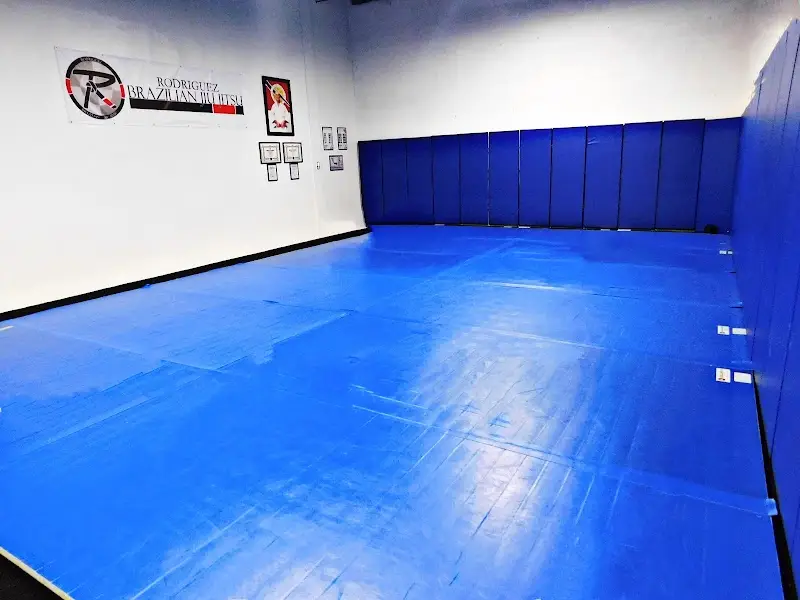 Rodriguez BJJ