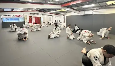 Roger Gracie Euston BJJ Academy - photo 3