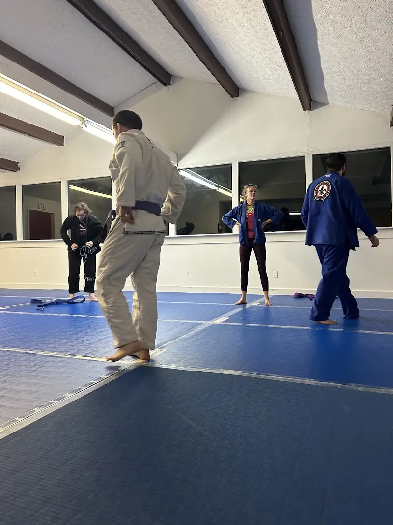 Rogersville Jiu-Jitsu BJJ Academy - photo 1