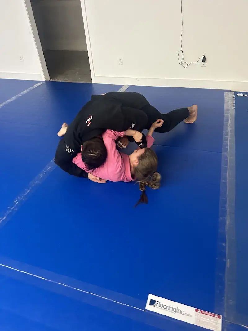 Rogersville Jiu-Jitsu BJJ Academy - photo 2